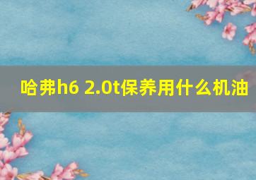 哈弗h6 2.0t保养用什么机油